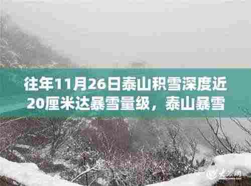 泰山暴雪现象揭秘,积雪深度争议与启示,近20厘米雪量的影响与反思