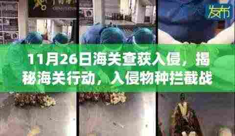 揭秘某年某月某日海关行动,入侵物种拦截战背后的故事