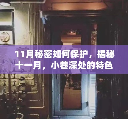 揭秘十一月,小巷特色小店守护秘密之道