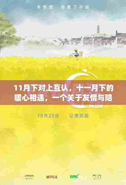 暖心相遇,11月的友情与陪伴故事