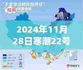 寒潮下的暖心日常,一场不期而遇的冬日趣事,记录于2024年11月28日