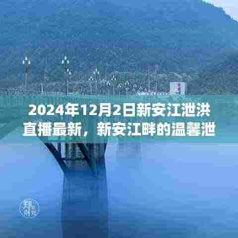 新安江畔的温馨泄洪日,直播之旅展现爱与陪伴