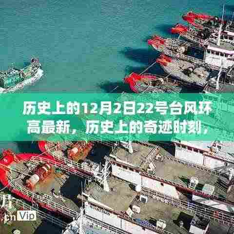 揭秘台风环高的奇迹时刻,励志故事背后的潜能与自信力量