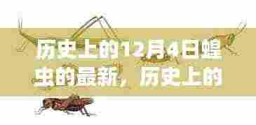 探寻蝗虫灾害,历史上的12月4日最新篇章