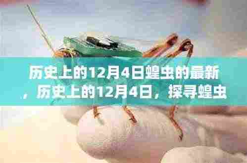 探寻蝗虫灾害,历史上的12月4日最新篇章