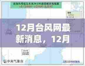 12月台风网最新消息，热带风暴活跃期的气象分析与应对建议