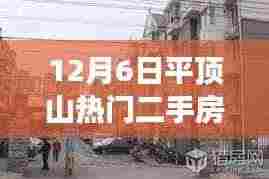 揭秘平顶山隐藏小巷特色小店与热门二手房背后的故事(独家报道)