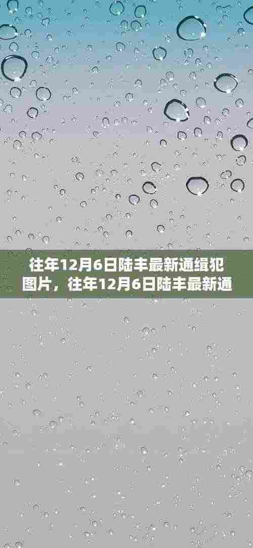 厂房环境 第338页
