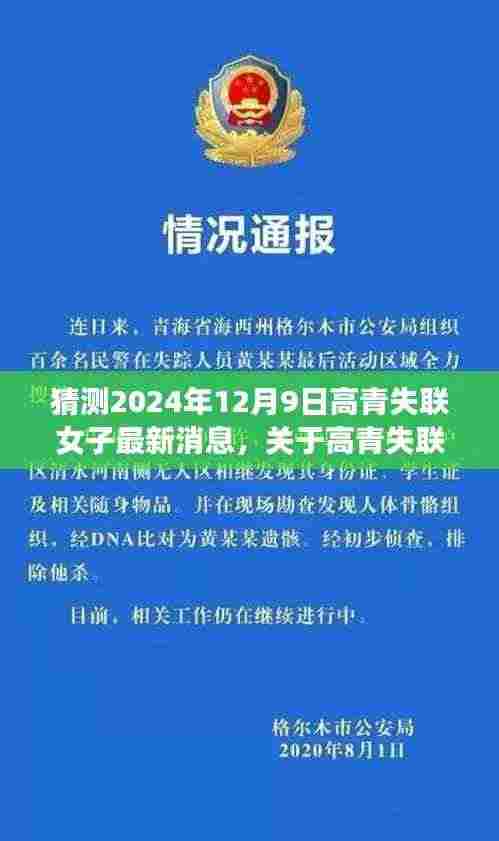 关于高青失联女子最新情况的猜测与分析，最新进展与未来预测（2024年视角）