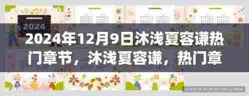 沐浅夏容谦,热门章节背后的故事与独特印记