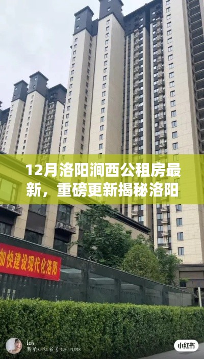 揭秘洛阳涧西公租房最新动态,12月房源信息全解析与温馨家园探秘