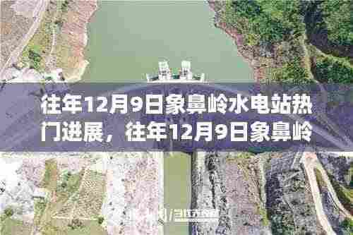 往年12月9日象鼻岭水电站进展热议,深度分析与观点阐述
