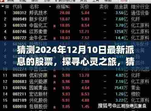 探寻心灵之旅,揭秘2024年最新派息股票引领的投资方向!