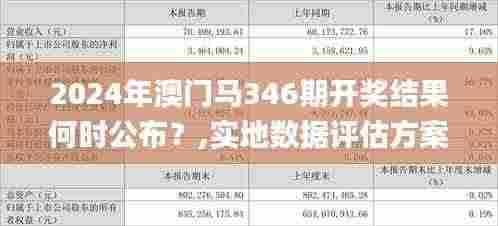 2024年澳门马346期开奖结果何时公布?,实地数据评估方案_W9.621