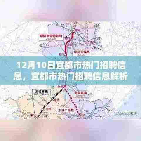 宜都市最新热门招聘信息解析,聚焦最新职业机遇