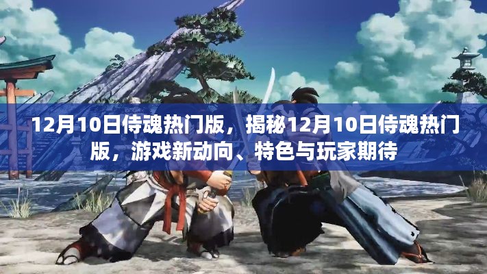揭秘,12月10日侍魂热门版游戏新动向与玩家期待揭秘的特色亮点