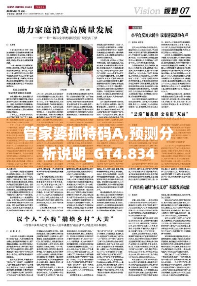 管家婆抓特码A,预测分析说明_GT4.834
