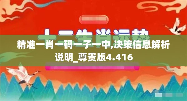 精准一肖一码一子一中,决策信息解析说明_尊贵版4.416