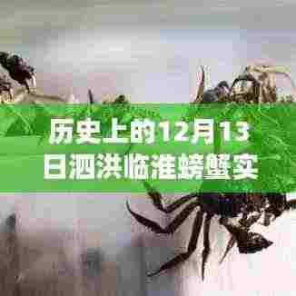 揭秘历史12月13日泗洪临淮螃蟹实时价格,市场变迁与趋势洞察