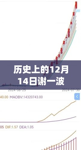 小红书风格揭秘,历史上的12月14日股市实时走势回顾