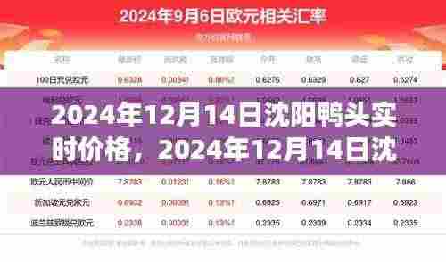 沈阳鸭头实时价格分析，市场趋势与购买建议（2024年12月）