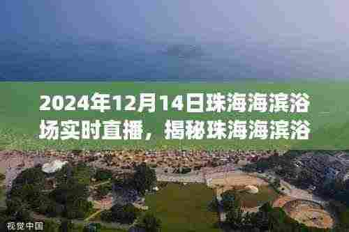 珠海海滨浴场背后的宝藏,特色小店直播之旅揭秘日纪实