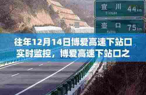 博爱高速下站口之旅,探寻内心宁静与自然魔法的实时记录