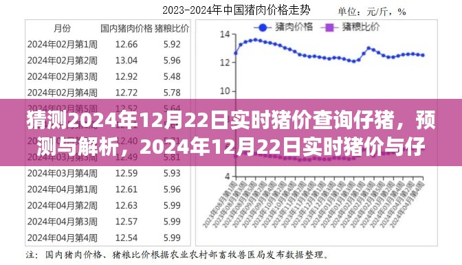 2024年12月22日实时猪价及仔猪市场动态解析与预测