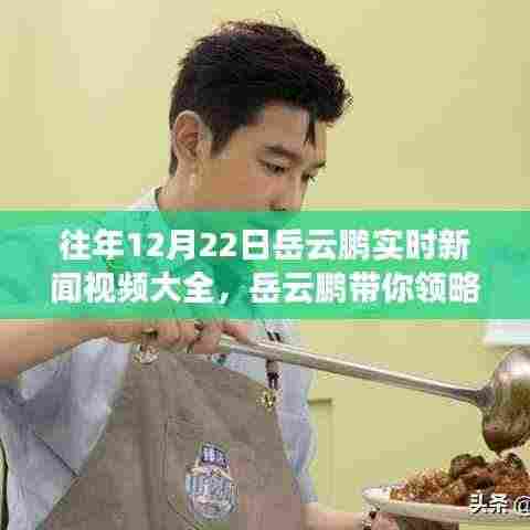 岳云鹏带你领略自然美景之旅，往年12月22日实时新闻视频汇总，探寻内心宁静与喜悦之旅