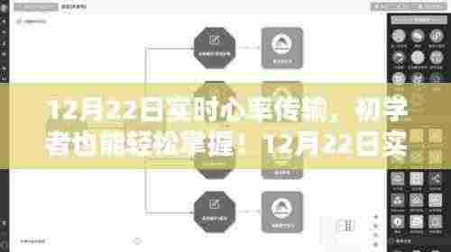 初学者轻松掌握,12月22日实时心率传输步骤详解