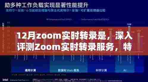 深入评测Zoom实时转录服务,特性、体验、竞品对比及用户群体分析报告