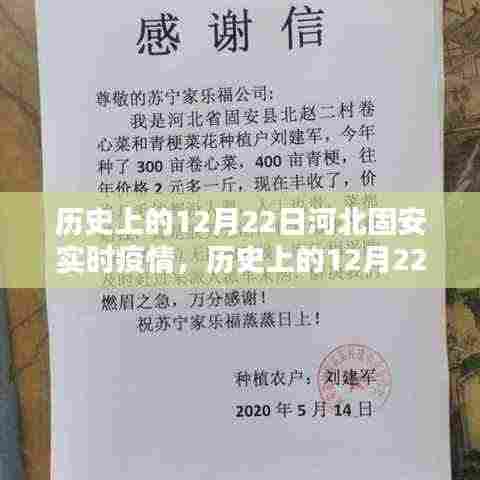 历史上的12月22日河北固安实时疫情,疫情应对步骤指南