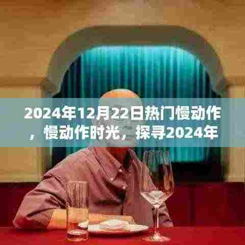 探寻时光之韵,2024年12月22日慢动作下的心动瞬间