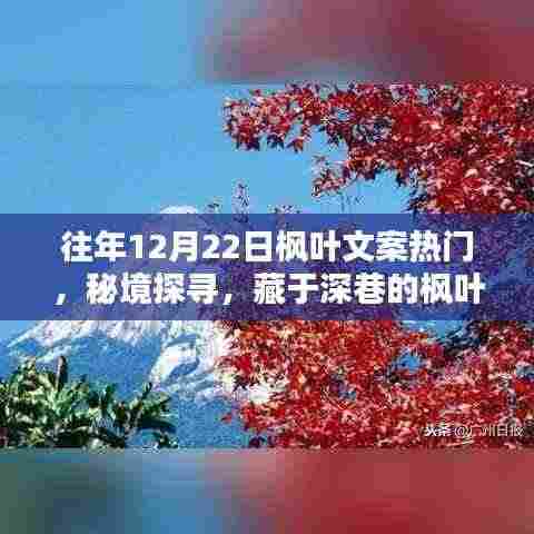 秘境探寻,枫叶秘境小店,深巷中的热门宝藏文案