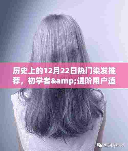 历史上的染发潮流回顾,12月22日热门染发推荐与详细教程,适合初学者与进阶用户参考