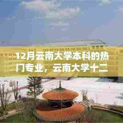 云南大学十二月热门本科专业深度解析,价值与挑战探索