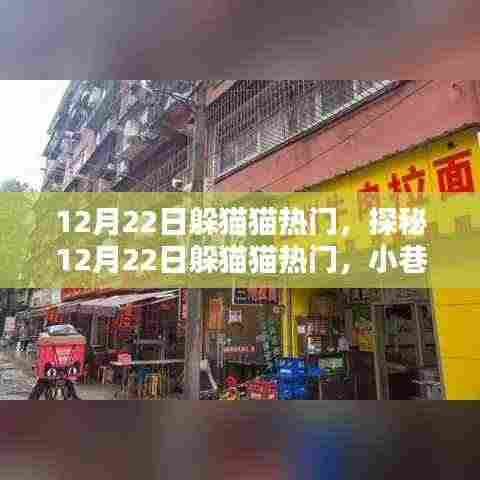 探秘躲猫猫热门日,揭秘小巷深处的特色小店!