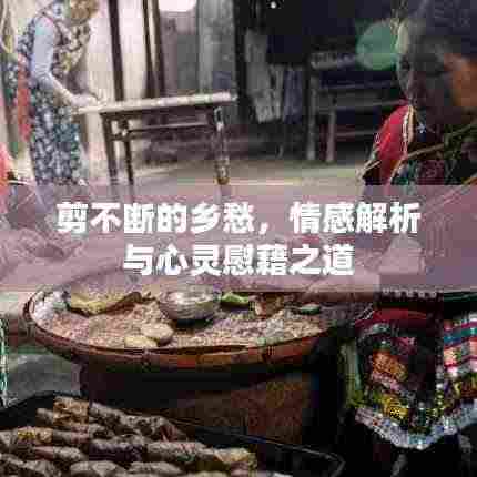 剪不断的乡愁，情感解析与心灵慰藉之道