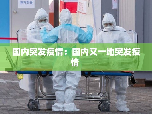 国内突发疫情:国内又一地突发疫情