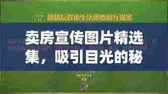 卖房宣传图片精选集,吸引目光的秘籍,百度收录标准标题