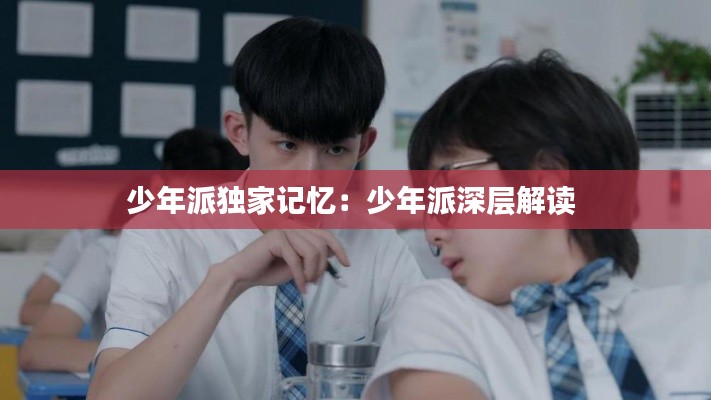 少年派独家记忆：少年派深层解读 