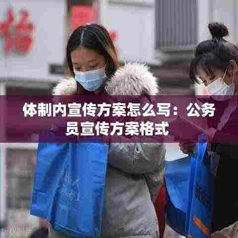 体制内宣传方案怎么写：公务员宣传方案格式 