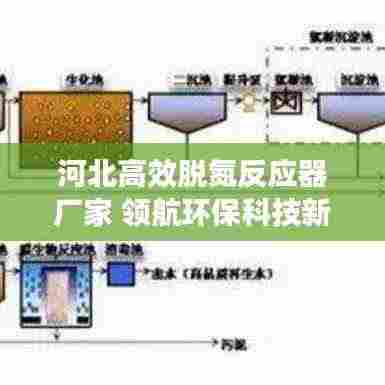 河北高效脱氮反应器厂家 领航环保科技新潮流