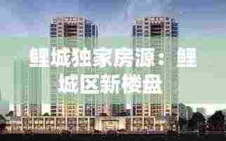 鲤城独家房源:鲤城区新楼盘