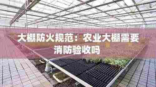 大棚防火规范:农业大棚需要消防验收吗