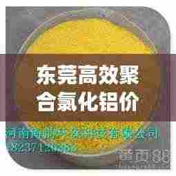 东莞高效聚合氯化铝价格:聚合氯化铝厂家排名