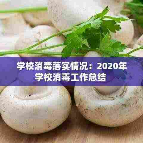 学校消毒落实情况:2020年学校消毒工作总结