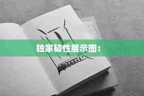 独家韧性展示图： 