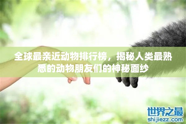 全球最亲近动物排行榜,揭秘人类最熟悉的动物朋友们的神秘面纱