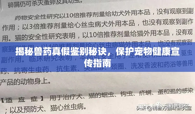 揭秘兽药真假鉴别秘诀,保护宠物健康宣传指南